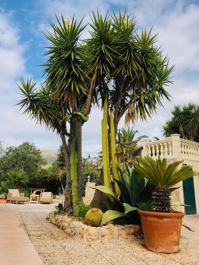 Randa, Llucmayor, Bis 3 Sz, Pool, Garten Vakantiehuis Llucmajor (Mallorca)