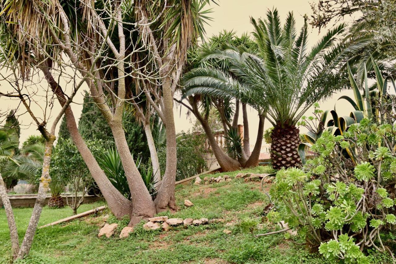Vakantiehuis Randa, Llucmayor, Bis 3 Sz, Pool, Garten *
